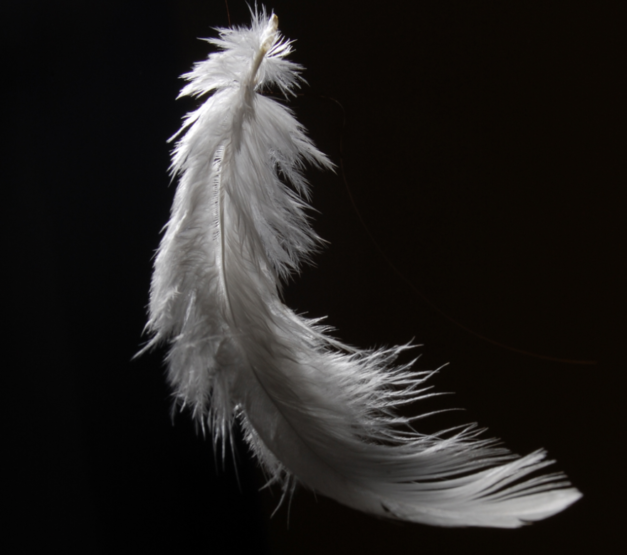 Iroquois Capital Management LLC investor warning